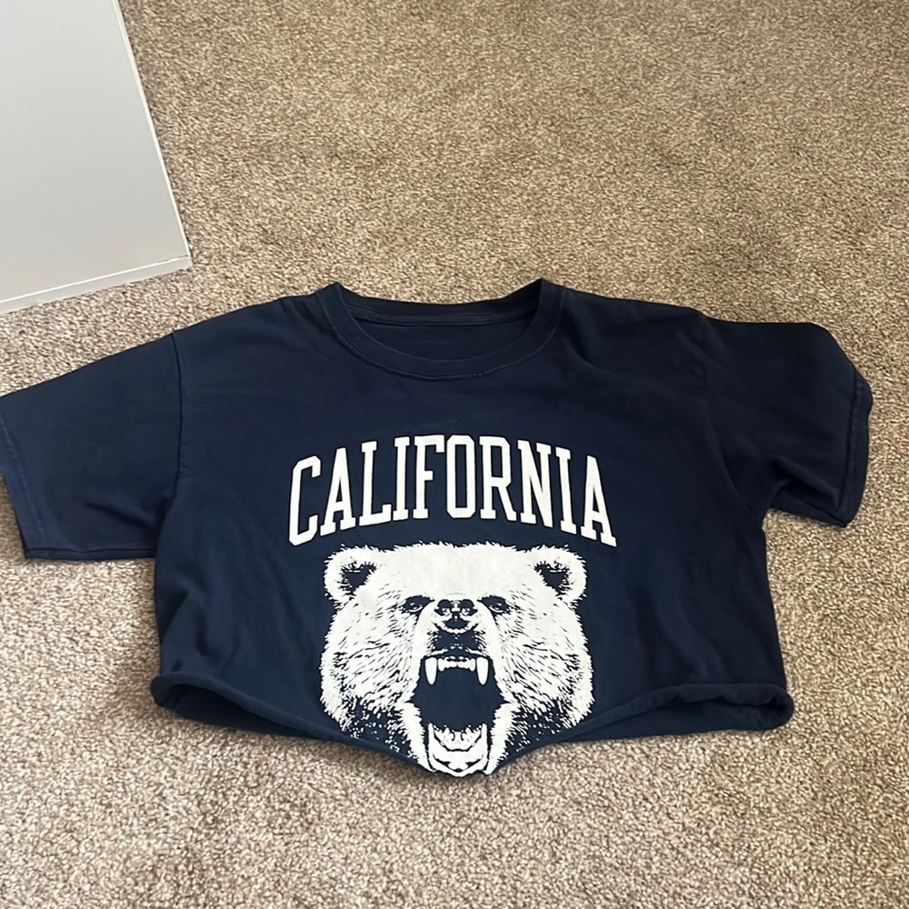 Brandy Melville California Crop Top